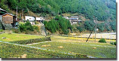 腰抜田（現在川底　五百瀬）
