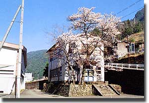 十津川高校図書館（現東記念館）