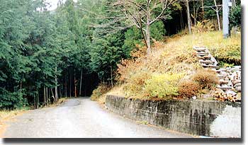 左小森へ　右上折立へ