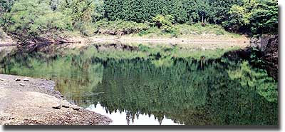 大畑瀞（永井）