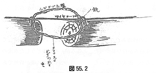 図55.2