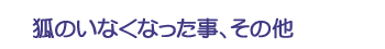 狐のいなくなった事、その他