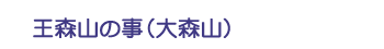 王森山の事（大森山）