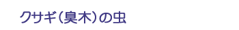 クサギ（臭木）の虫