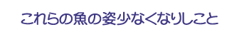 これらの魚の姿少なくなりしこと