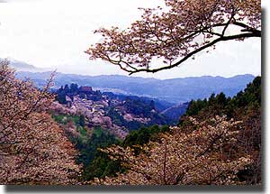 吉野山