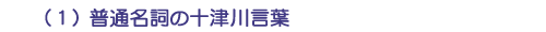 （１）普通名詞の十津川言葉