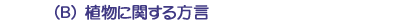 (B)植物に関する方言