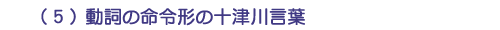 （５）動詞の命令形の十津川言葉
