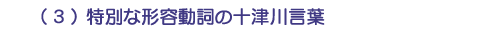 （３）特別な形容動詞の十津川言葉