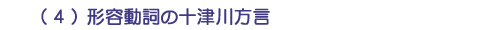 （４）形容動詞の十津川方言