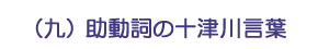 （九）助動詞の十津川言葉