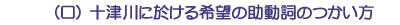 （ロ）十津川に於ける希望の助動詞のつかい方
