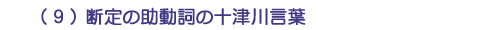 （９）断定の助動詞の十津川言葉