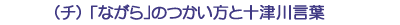 (チ)「ながら」のつかい方と十津川言葉