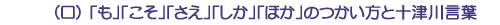 （ロ）「も」「こそ」「さえ」「しか」「ほか」のつかい方と十津川言葉