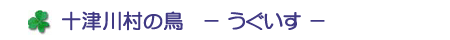 十津川村の鳥　－うぐいす－