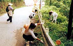 道の草をかる人びと(道ぶしん)