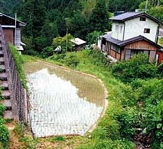 谷の近くに作られた田(小原)