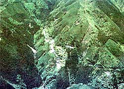 迫西川小学校ふ近