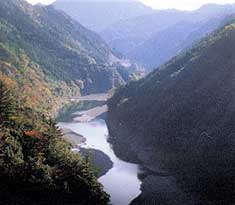 十津川（小井）