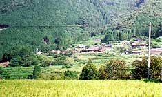 北山川すじにある竹筒