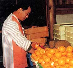 村でつくり出されるもの