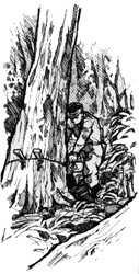 山仕事