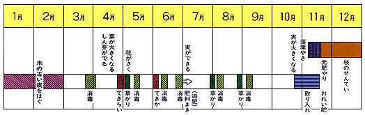 かきの仕事ごよみ
