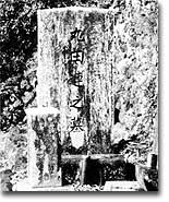 丸田連墓表