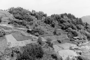 1970c_P002_007_湯之原・橋掛