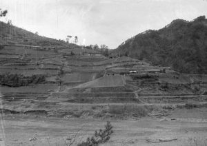 1955c_S001_073_川津・野広瀬